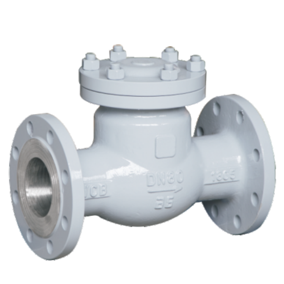 Válvula de retención oscilante con bridas H44H-16C, acero WCB